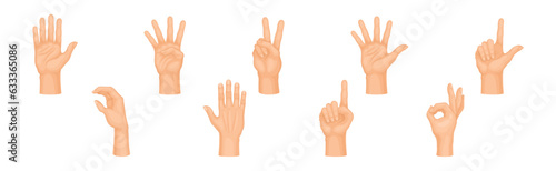 Human Hand Showing Gestures and Signs Vector Set