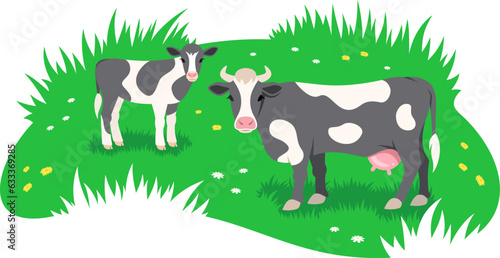 Black and white cow with little calf grazing in a green meadow. Free range cattle, eco farming concept. Simple flat stylized illustration