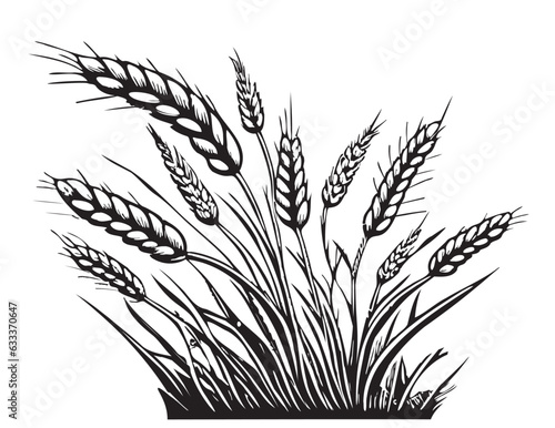 Wheat hand drawn sketch field Vector illustration