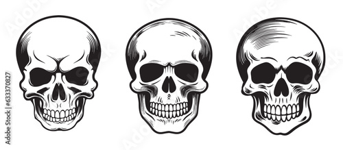 Set of skulls sketch hand drawn death day Vector © BigJoy