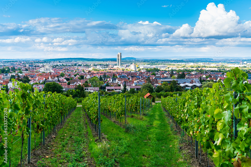 Germany, Fellbach city houses buildings tower skyscraper beautiful skyline panorama view above nature landscape from vineyards in autumn