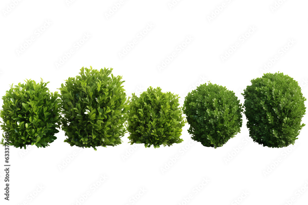 Set of bushes shrub isolated png on a transparent background cutout Set of bushes shrub isolated png on a transparent background cutout