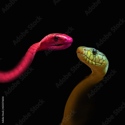 Serpenti photo