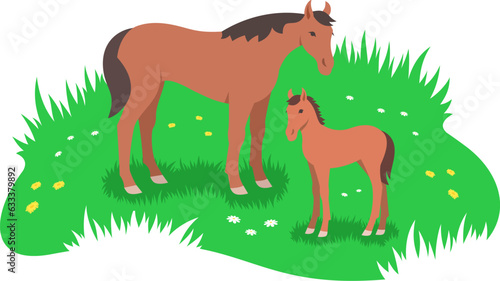 Brown horse and her little foal grazing in the green flower meadow. Simple flat stylized illustration