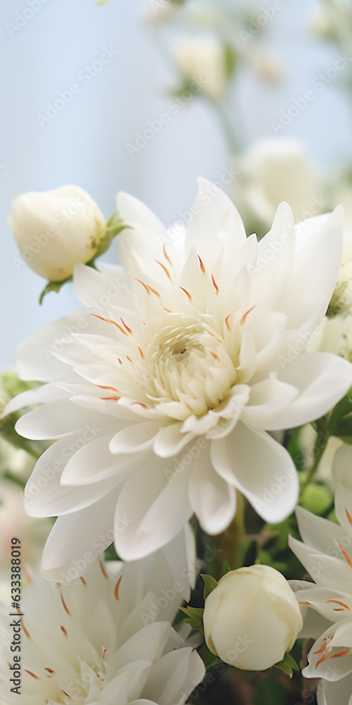 Close-up of elegant flower bouquet blossom Close-up of elegant flower bouquet blossom