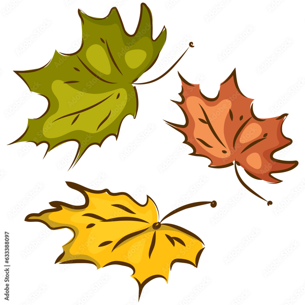Obraz premium maple leaves isolated without backround