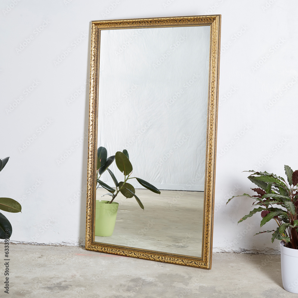 Large Gold Frame Floor or Wall Mirror. Vintage fine furniture. Interior
