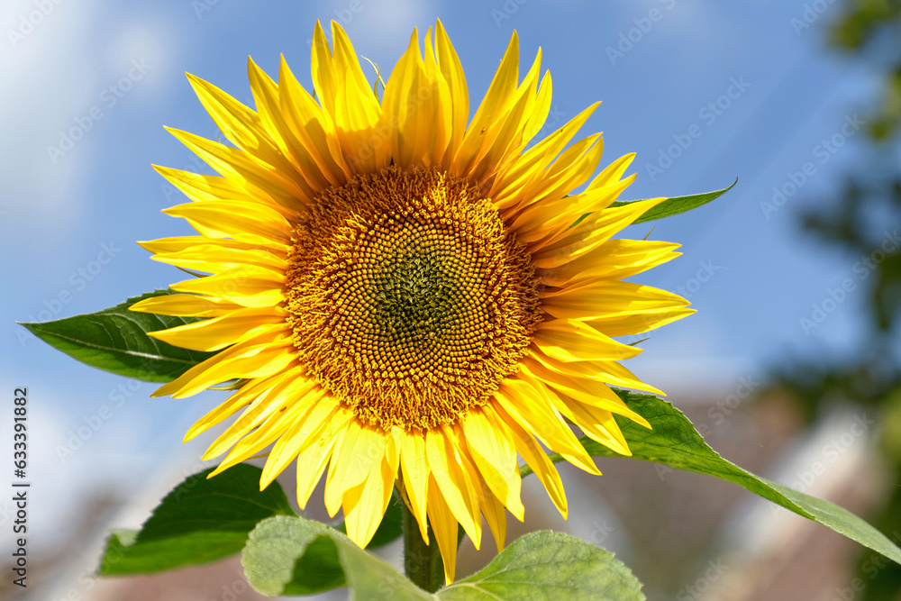 aménagement de la friche vicoigne raismes aménagement de la friche vicoigne raismes