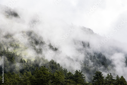 Dark and Dramatic Foggy Forest Landscape in Mountains of Nepal