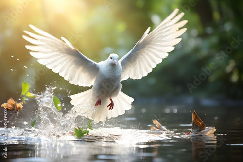 Photo dove landing on water freedom concept and international day of peace 