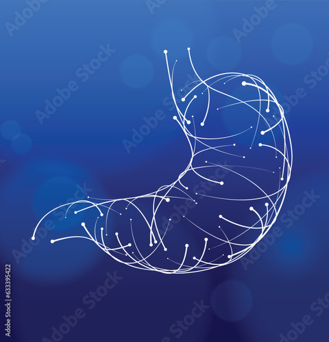 Illustration of a stomach made of white curved lines and dots of varying sizes on a dark blue background. Medical, commercial and educational use.
