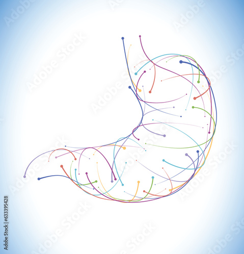 Illustration of colored lines and intersections of a modern style stomach on a white background. It is used in medicine, commerce and education.