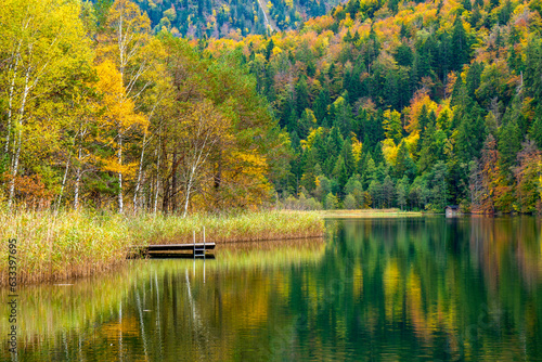 panoramic view to rural landscape with vibrant colored leaves on trees with reflection in lake
