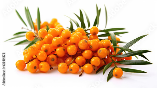 Sea buckthorn isolated on a white background.
