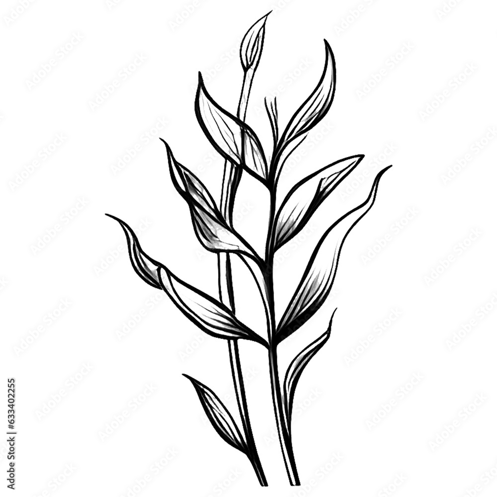 Wildflower line art bouquets Hand drawn flowers, meadow herbs, wild plants, botanical elements for design projects Wildflower line art bouquets Hand drawn flowers, meadow herbs, wild plants, botanical elements for design projects