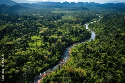 aerial view of lush, preserved rainforest landscape
