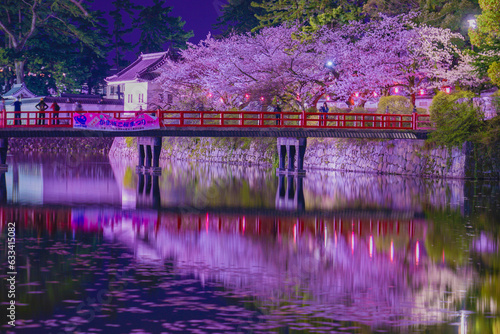 小田原城のお堀の桜