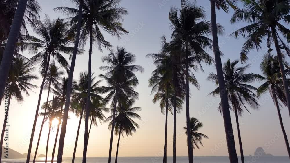 Tropical sand beach with coconut trees in sunset An aerial dolly shot of the sun shining through the branches of the coconut tree of a sunny sky. Tropical sand beach with coconut trees in sunset An aerial dolly shot of the sun shining through the branches of the coconut tree of a sunny sky.
