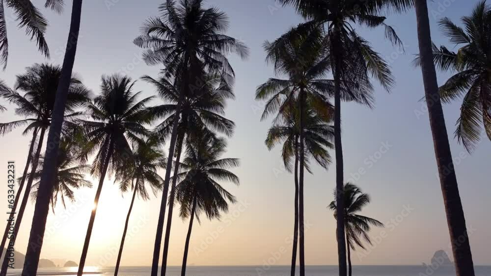 Tropical sand beach with coconut trees in sunset An aerial dolly shot of the sun shining through the branches of the coconut tree of a sunny sky. Tropical sand beach with coconut trees in sunset An aerial dolly shot of the sun shining through the branches of the coconut tree of a sunny sky.