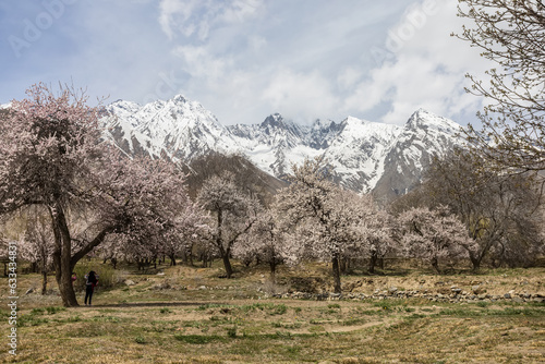 beautiful natural flowers Beautiful nature like paradise in the north of Pakistan. photo