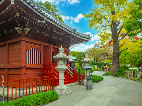 Tokyo architecture. Autumn ...