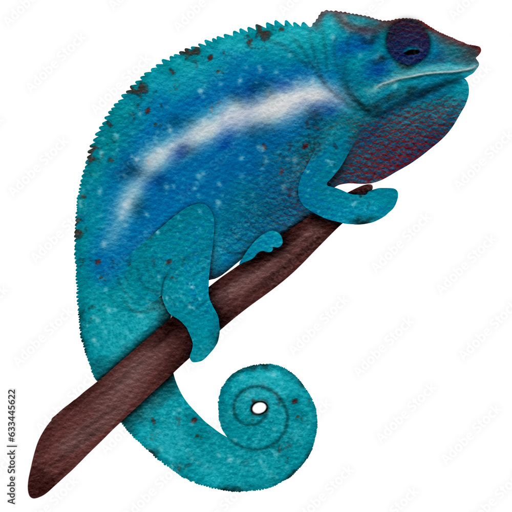 Fototapeta premium Blue chameleon perched on a branch