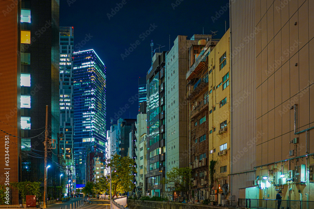 Fototapeta premium 渋谷の夜景