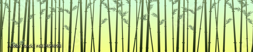 Morning in bamboo grove. Tropical reed beds. Jungle and rainforest of southern latitudes. Cartoon fun style. Flat design. Vector