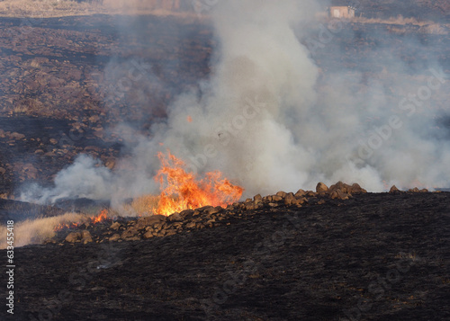 Burning fields of veld / grassland