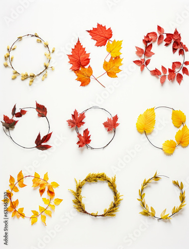 Autumn flat lay concept  fallen leaves of warm red and yellow colors  nuts and mammals. Rainy frame background with fall elements.