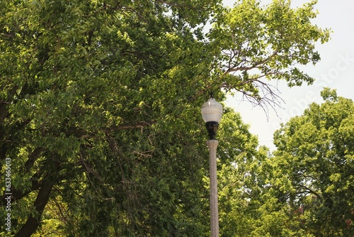 A typical street lamppost standing in the park.