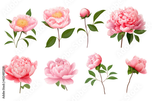Top view / flat lay PNG images of a bouquet of pink roses, including flowers, buds, and leaves, separated on a transparent background for use in a design for a garden, perfume, or essential oil.