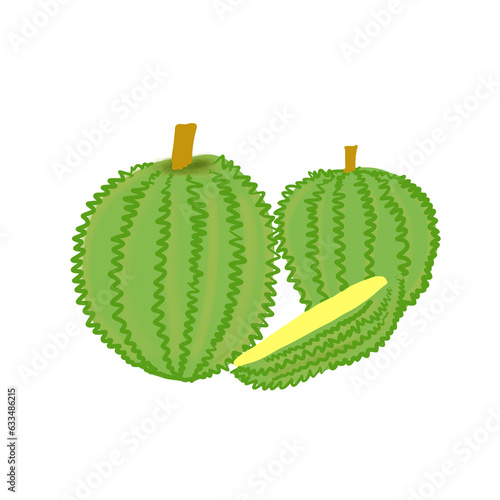 Durian fruit 