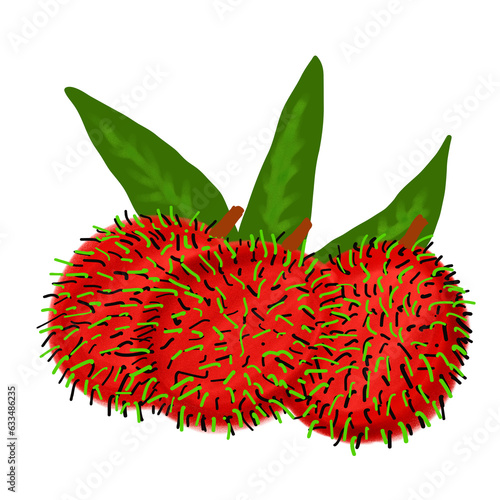 Rambutan fruit 