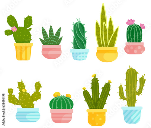 Set of cacti, succulents in flower pots.Vector graphics.