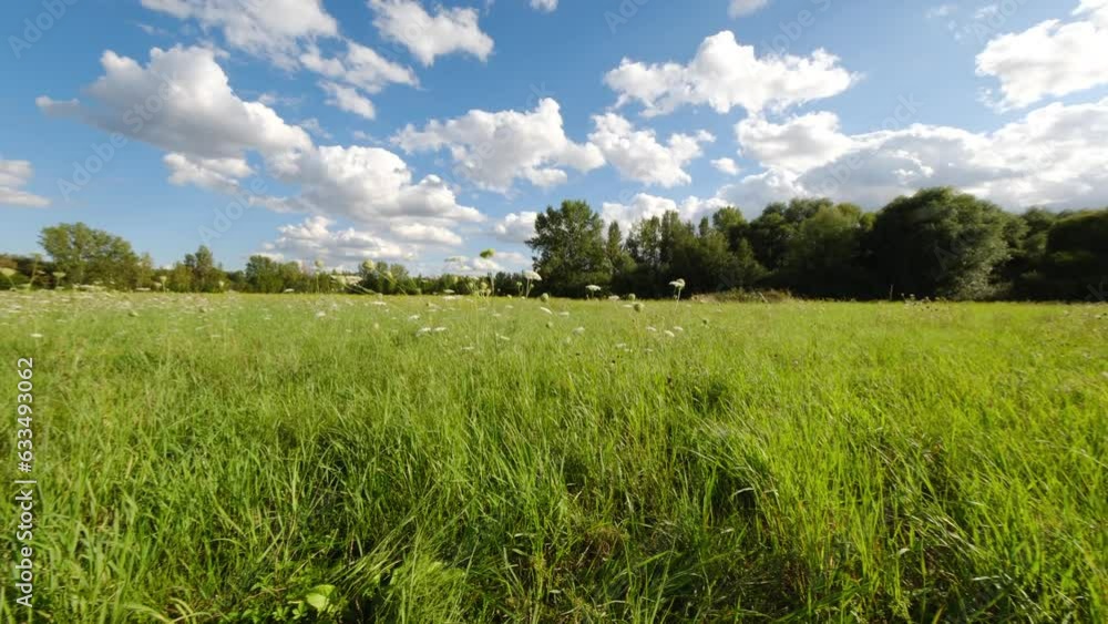 Weitwinkliger 360 Grad Kameraschwenk auf einer grünen Wiese unter blauen Himmel mit weißen Wolken. Weitwinkliger 360 Grad Kameraschwenk auf einer grünen Wiese unter blauen Himmel mit weißen Wolken.