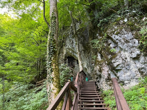 Crypt cave of count Josip Jankovic in a Park forest Jankovac - Papuk nature park, Croatia (Grobnica Josipa pl. Jankovića u Park šumi Jankovac - Park prirode Papuk, Hrvatska) photo
