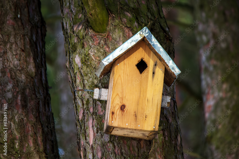 Birdhouse, bird house on a tree Birdhouse, bird house on a tree