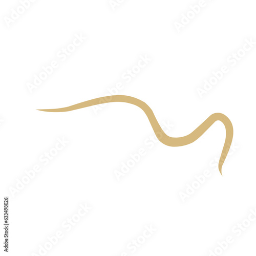 Intestinal Parasitic  Worm 