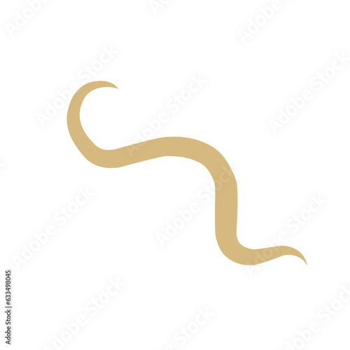 Intestinal Parasitic  Worm 