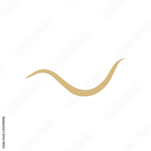 Intestinal Parasitic  Worm 