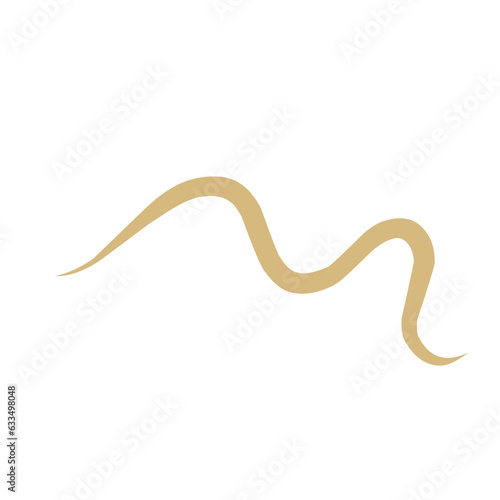 Intestinal Parasitic  Worm 