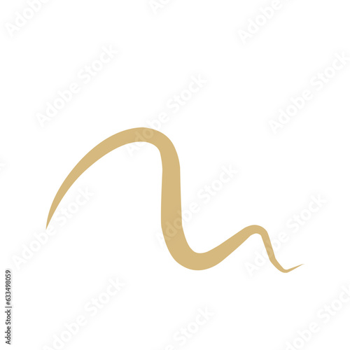 Intestinal Parasitic  Worm 