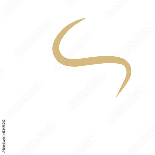 Intestinal Parasitic  Worm 