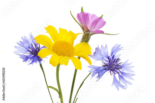 Wild flower arrangement