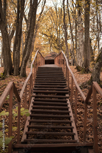 Big stairs in the autumn forest