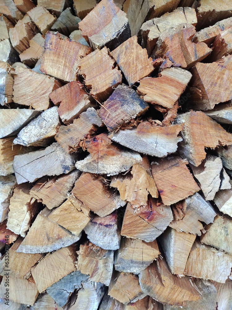 Pile of pieces of firewood of varying sizes and shapes cut and arranged. Pile of pieces of firewood of varying sizes and shapes cut and arranged.