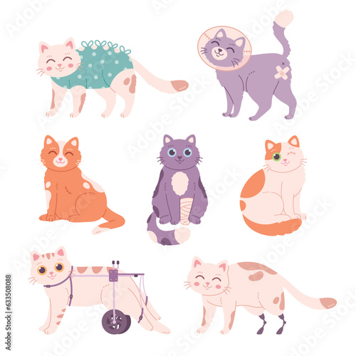 Injured Cats Illustrations. Cat after surgery, amputation, without eye, cat with prosthetic. Vector illustration in flat style