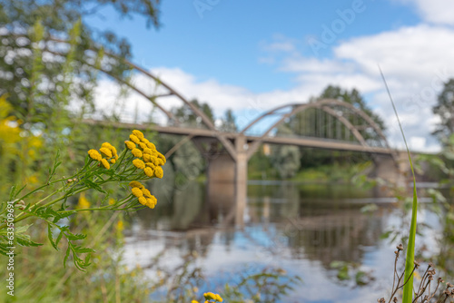 Photos bridge over the river with yellow flowers in the foreground