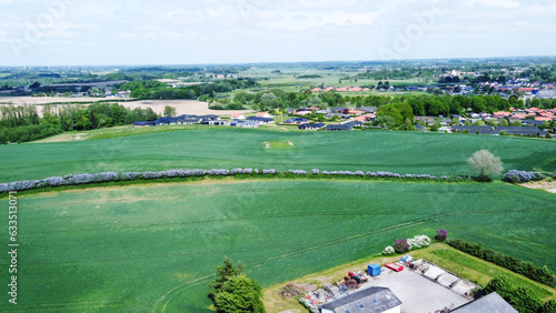 Photography Cereal agricultural field (wheat or rye or oats) in  amazing Odense district